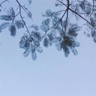 迷你跑酷联盟游戏下载