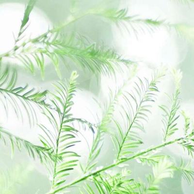 新战神三国内购破解版(暂未上线)v1.1 安卓最新版